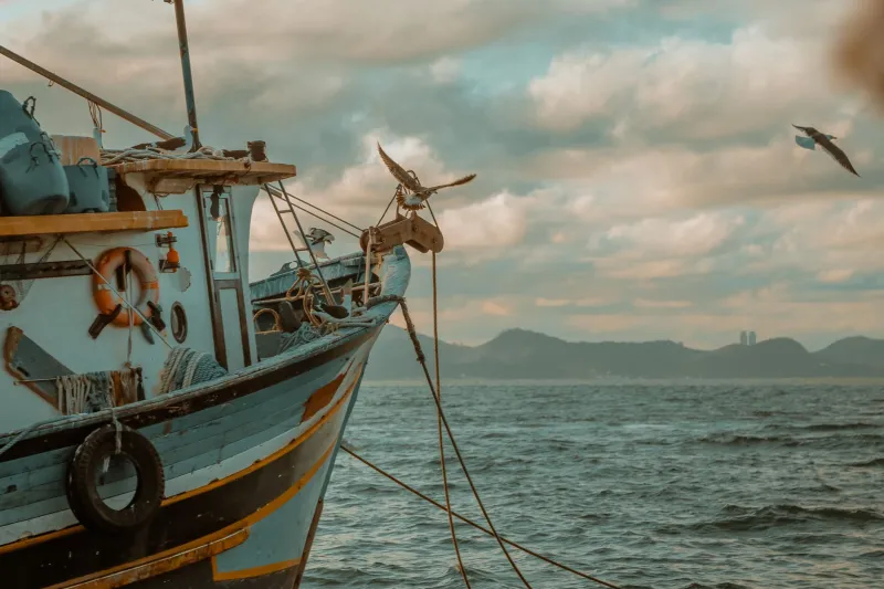 The Fisherman Who Taught the Sky to Speak