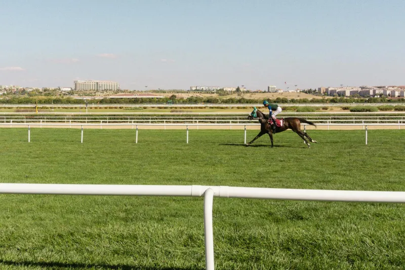 When America Needed a Miracle, a Crooked-Legged Horse Delivered